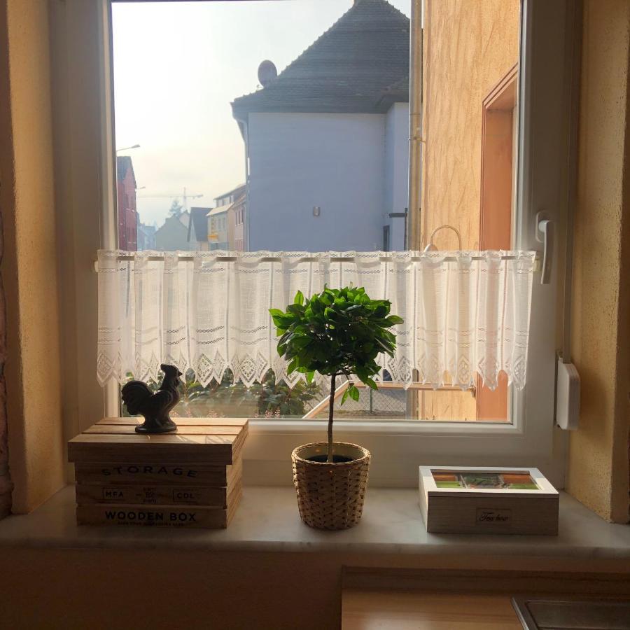 Gemuetliches Apartment Garden View 拉姆斯泰因-米森巴赫 外观 照片