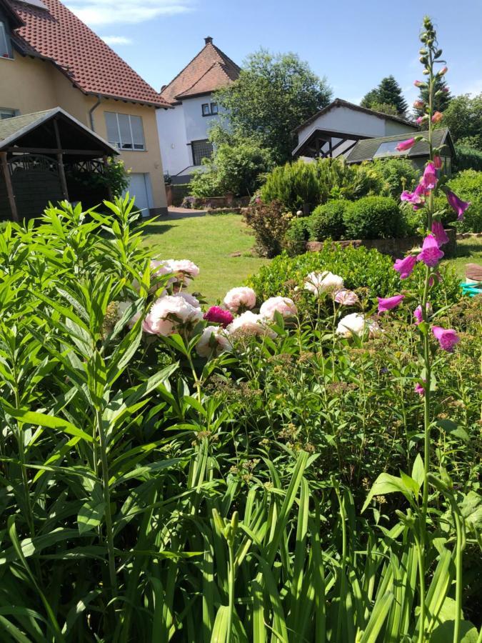 Gemuetliches Apartment Garden View 拉姆斯泰因-米森巴赫 外观 照片