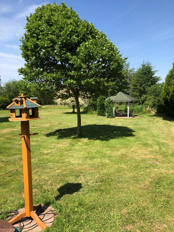 Gemuetliches Apartment Garden View 拉姆斯泰因-米森巴赫 外观 照片